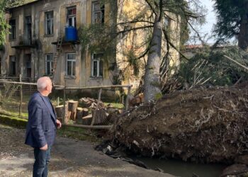 ანზორ მარგიანი სტიქიის ზონაში იმყოფებოდა