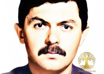 ავთანდილ დეკანოიძე – აფხაზეთის გმირი!